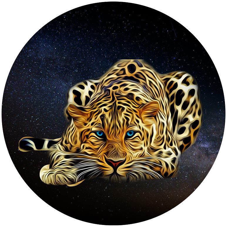 OPŁATEK NA TORT URODZINY 30 40 50 KOT GEPARD TYGRYS ZWIERZĘ KOCUR 1 OPŁATEK NA TORT URODZINY 30 40 50 KOT GEPARD TYGRYS ZWIERZĘ KOCUR