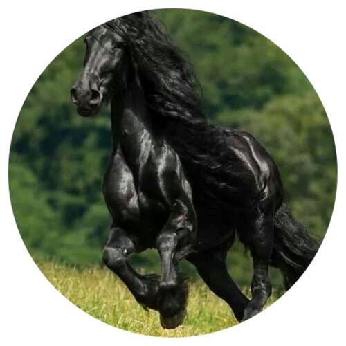 OPŁATEK NA TORT KOŃ GALLOP MUSTANG
