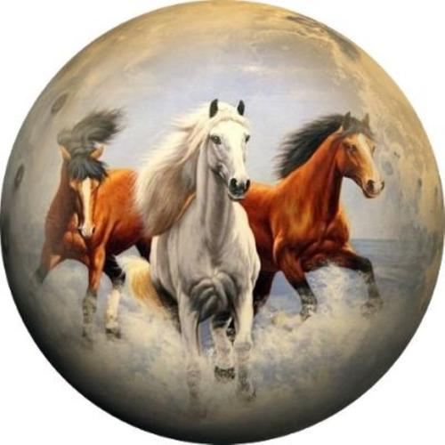 OPŁATEK NA TORT KONIE KOŃ GALLOP 1 OPŁATEK NA TORT KONIE KOŃ GALLOP