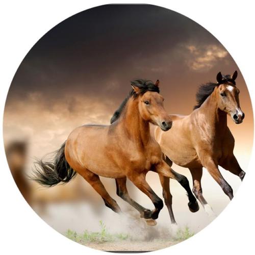 OPŁATEK NA TORT KOŃ KONIE GALLOP MUSTANG 1 OPŁATEK NA TORT KOŃ KONIE GALLOP MUSTANG