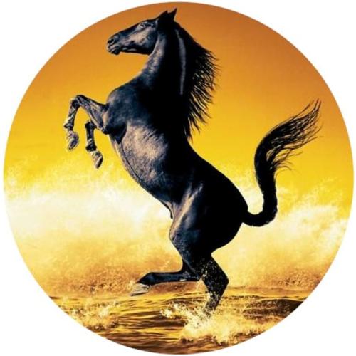 OPŁATEK NA TORT KOŃ MUSTANG OGIER