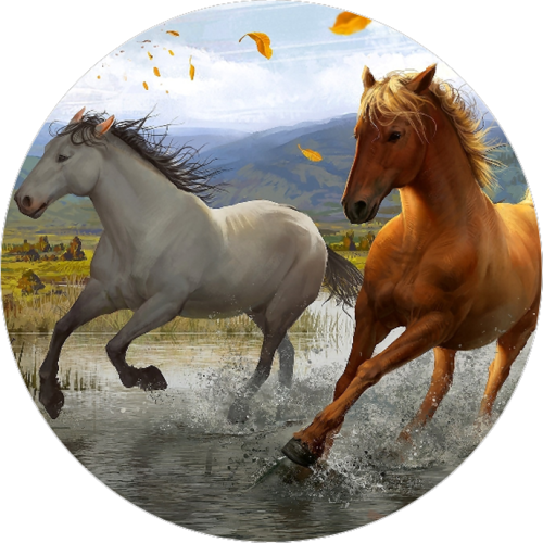 OPŁATEK NA TORT URODZINY 18 30 40 50 KONIE KOŃ MUSTANG GALLOP 1 OPŁATEK NA TORT URODZINY 18 30 40 50 KONIE KOŃ MUSTANG GALLOP