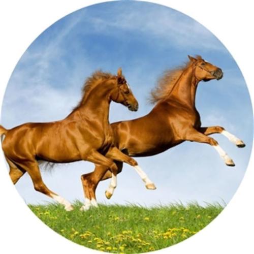 OPŁATEK NA TORT URODZINY 30 40 50 KONIE KOŃ GALLOP