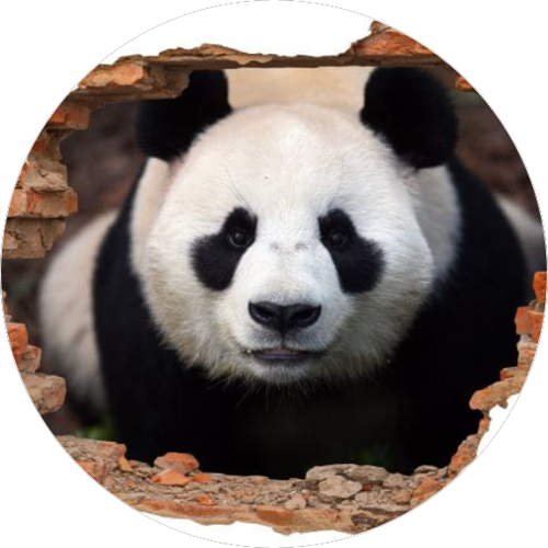 OPŁATEK NA TORT MIŚ PANDA MISIU