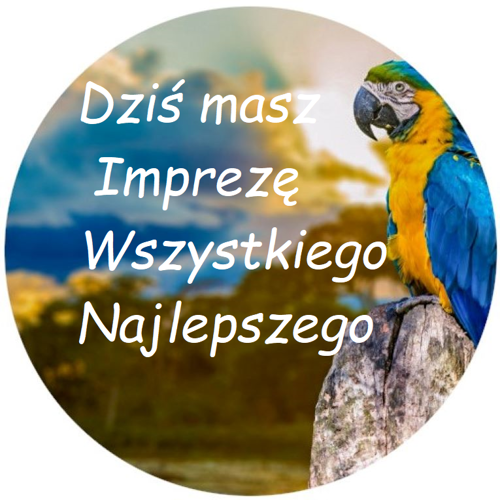 OPŁATEK NA TORT PTAKI PAPUGA ARA